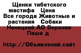 Щенки тибетского мастифа › Цена ­ 80 - Все города Животные и растения » Собаки   . Ненецкий АО,Верхняя Пеша д.